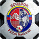 厄瓜多尔国家足球队队徽